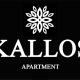 Κάλλος-Kallos Apartment Metsovo - Foto 2