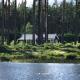 Modern lakeside cottage & boat near Isaberg Kävsjö - Fotografie 1