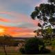 The Little House on The Hill, Healesville (fotografie 9)