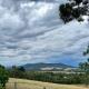 The Little House on The Hill, Healesville (fotografie 8)
