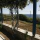 Flora's Apartments, Apollon (fotografie 2)