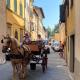 6 Via della Rosa, Lucca (foto 2)