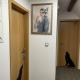 WOLF HOUSE KLÍNOVEC, Loučná pod Klínovcem (fotografie 10)