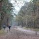 Camping het Smitske, Drunen (fotografie 2)