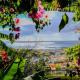 Granny's house view, Funchal (foto 3)