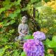Modernes Zimmer am Park mit Garten, Hühner & Enten, ミュンヘン - 写真 6