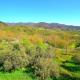 Holiday Home in Sesta Godano near Lake, Sesta Godano (foto 9)