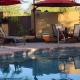 Private, Quite Casita , N. Scottsdale area,Private Pool & Patio, Cave Creek Az., Cave Creek (fotografie 7)