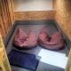 FOX BOX I Capsule Apt, Dresde - Photo 6