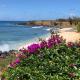 High-End Resort Condo Nestled on Molokai Shoreline, Kaunakakai - Fotografie 2