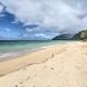 WFH in Paradise Beachfront Hauula Getaway! Laie - Photo 2
