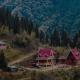 Spring Brooks Homestay, 大吉岭 - 照片 1