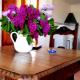 Belvedere apartment, Castiglione della Pescaia (zdjęcie 2)