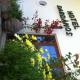 Dardanos Hotel, Patara (foto 6)