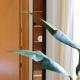 Apartamento Thyssen - Pozos Dulces, Málaga - Foto 3