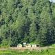 Bluepine Cottages Pangot by Nature Nests, Nainital - Foto 4