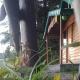 Bluepine Cottages Pangot by Nature Nests, Nainital - Foto 2