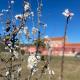 Casa das Jardas, Idanha-a-Nova (foto 7)