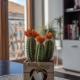 Apartman J&I, Kotor (foto 5)