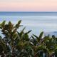 Kalibia rooms and suites, Mazara del Vallo (foto 5)