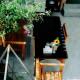 Chi Homestay #4, Hue