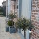 B&B Valant Bruges - Foto 3