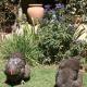 34 Steyn Street, Barrydale, Barrydale - Fotografie 5