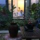 Cherry Garden Homestay, Hoi An - Fotografie 9