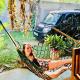 Bindu Homestay, Wellawaya (foto 4)