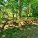 Midden in de Friese bossen op landgoed Princenhof, Oranjewoud (fotografie 8)