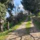Oasi del benessere, Ilbono (Foto 6)