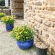 Midfeather Cottage, Edale (foto 4)