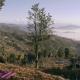 Nayalap - Rural Himalayan Glamping, Shitlakhet - Φωτογραφία 2