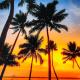 Kallanchery Retreat, エルナクラム - 写真 5