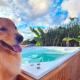 Vila Pitangueira - Apto Laranja - No Centro de Serra Grande com Piscina, Jacuzzi, Internet Veloz, セーハ・グランデ - 写真 1