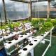 Your HOME ECO & NATUR, Carvide (foto 5)