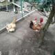 Your HOME ECO & NATUR, Carvide (foto 7)