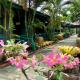Pop riverside trat, Trat (foto 8)
