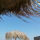 Rimimi Apartamente Studio, Mamaia Nord – Năvodari - Foto 10
