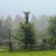 White Linen Guesthouse, Tierpoort (foto 4)