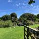 @Taradise-Opunake - eco-friendly Coastal hideaway, Opunake (fotografie 3)