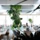REYNA APART HOTEL, コンスタンツァ - 写真 6
