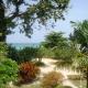 Rondel Village, Negril (fotografie 6)