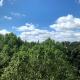 Arion Holiday Home, Rome - Photo 6