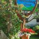 Ferienwohnung Schlesinger, Hohnstein - Photo 3