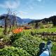 Blumenoase Allgäu, Schwanden - 写真 2