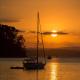 Parohe Island Retreat, Auckland - Foto 10