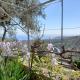 La casa di Elda, Sanremo (fotografie 4)
