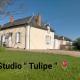studio ''tulipe'' dans le Berry, Les Bordes