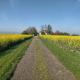 studio ''tulipe'' dans le Berry, Les Bordes (fotografie 2)